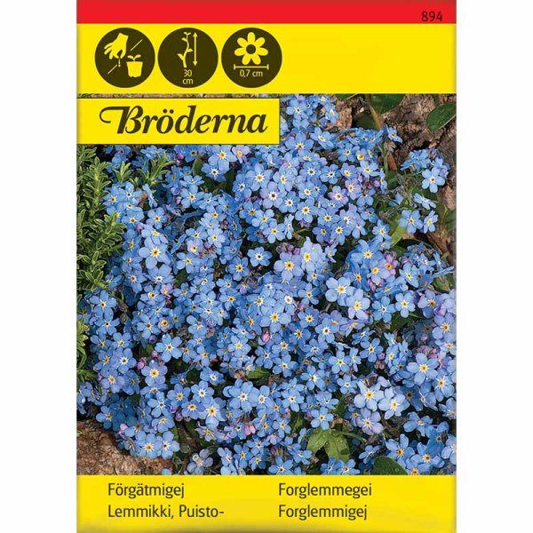 Vergissmeinnicht Blau