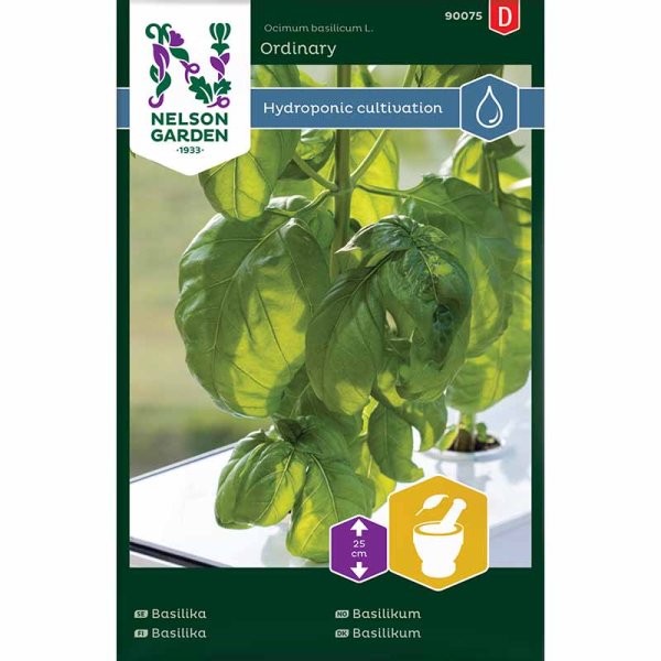 Basilikum 'Ordinary' - Harvy