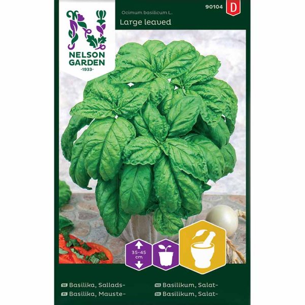 Salatblättriges Basilikum 'Large leaved'