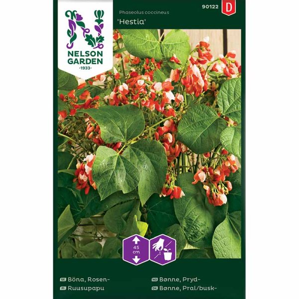 Feuerbohne 'Hestia' / Feuerbohne