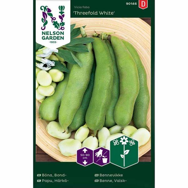 Dicke Bohne 'Threefold White'