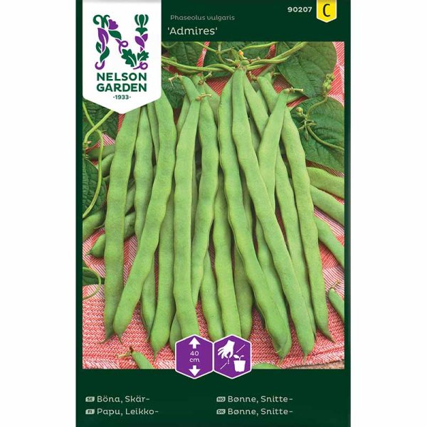 Schnittbohne 'Admires'