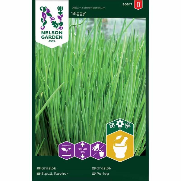 Schnittlauch 'Biggy'