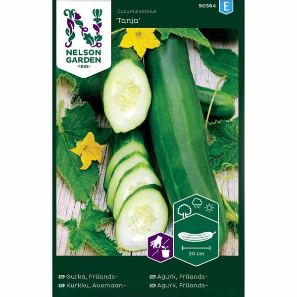 Salatgurke 'Tanja'
