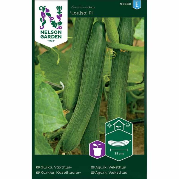 Salatgurke 'Louisa'F1