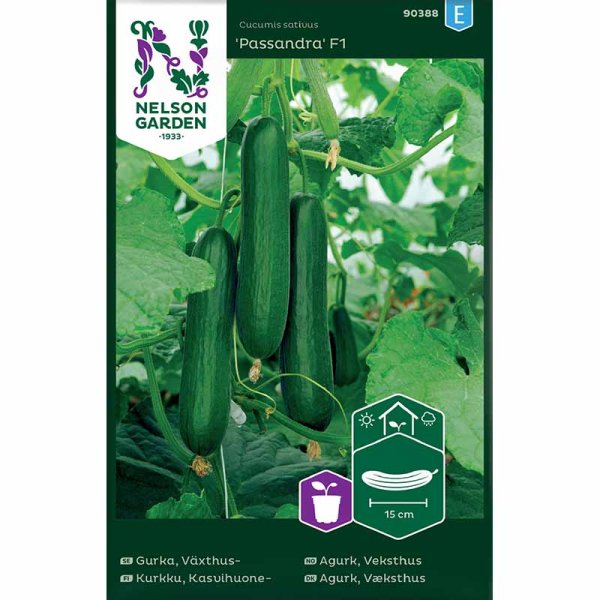 Gurke 'Passandra'F1