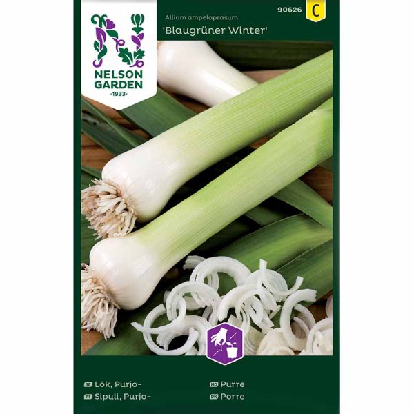 Lauch 'Blaugrüner Winter'