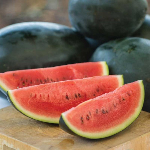Wassermelone 'Little Darling' F1
