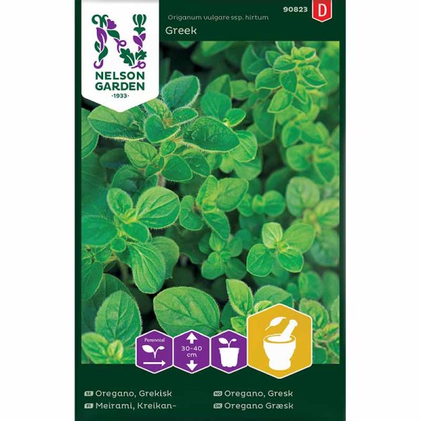 Griechischer Oregano Greek