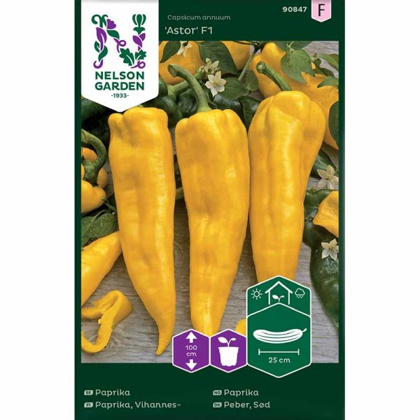 Paprika 'Astor'F1