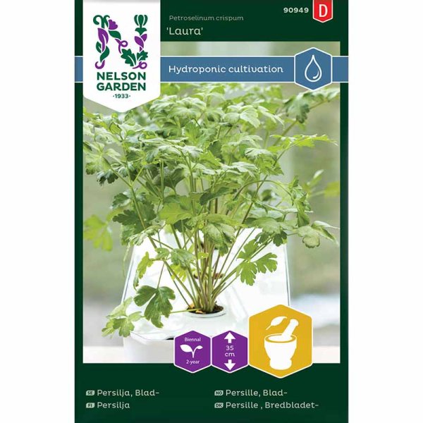 Glattpetersilie 'Laura' - Harvy