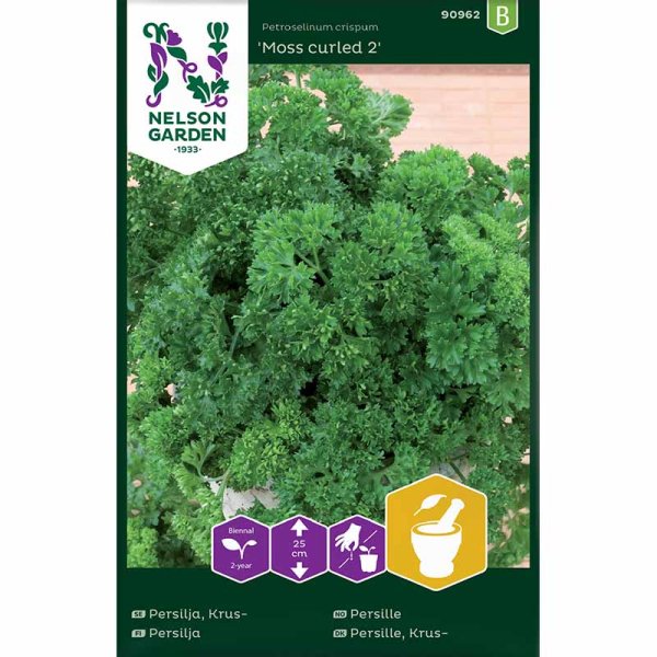 Blattpetersilie 'Moss curled 2'