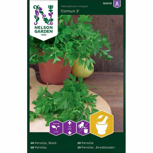 Blattpetersilie 'Comun 3'