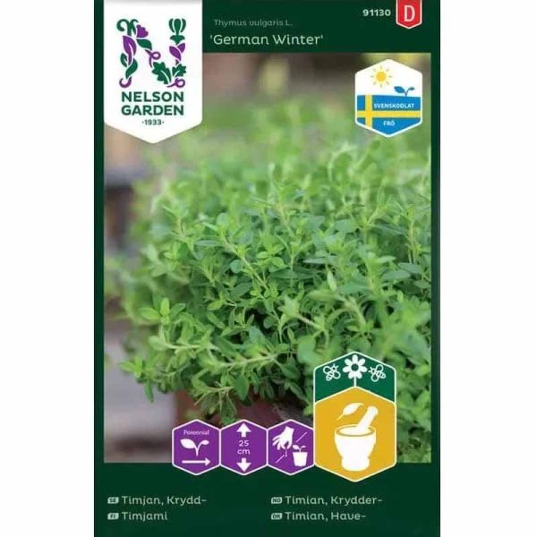 Winterthymian 'German Winter'