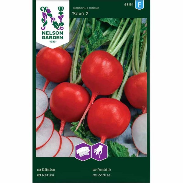 Radieschen 'Saxa 2'