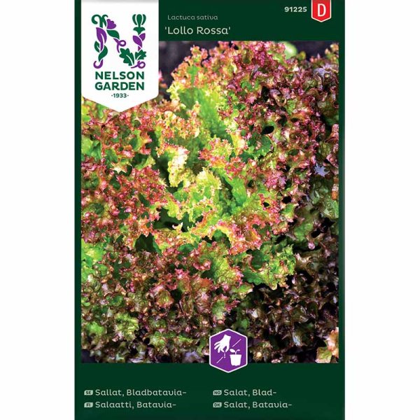 Batavia-Blattsalat 'Lollo Rossa'