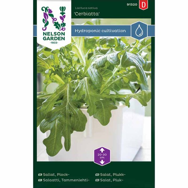 Pflücksalat 'Cerbiatta' - Harvy