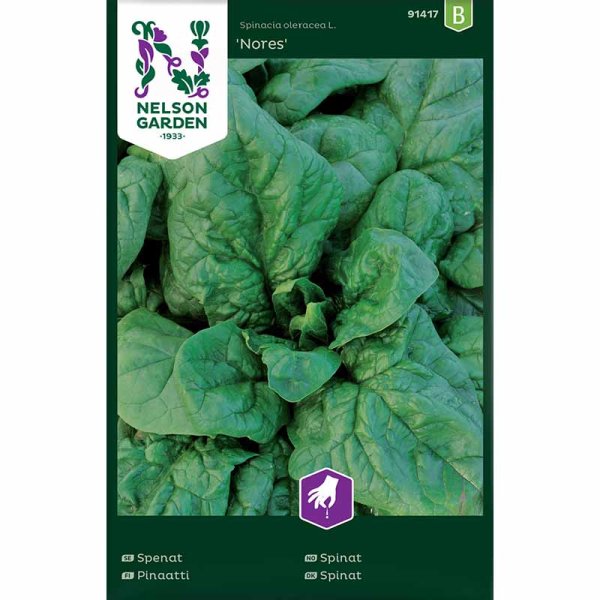 Spinat 'Nores'