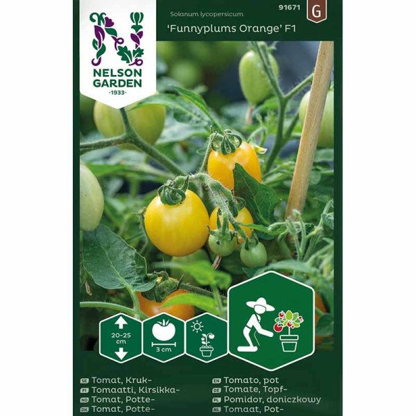 Tomato 'Funnyplums Orange' F1