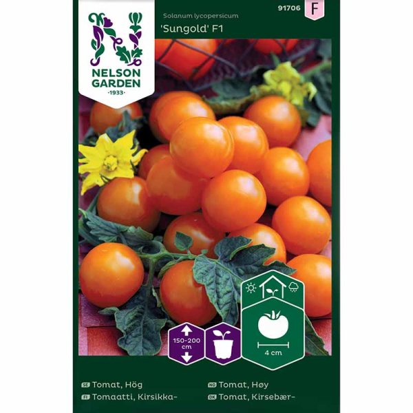 Cherrytomate 'Sungold' F1