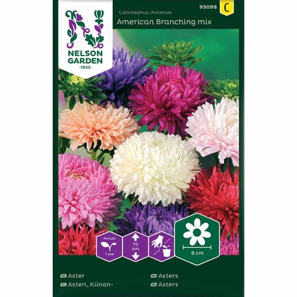 Sommeraster 'American Branching mix'