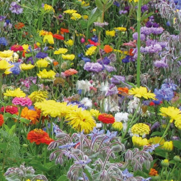 Luxus-Nektarmischung