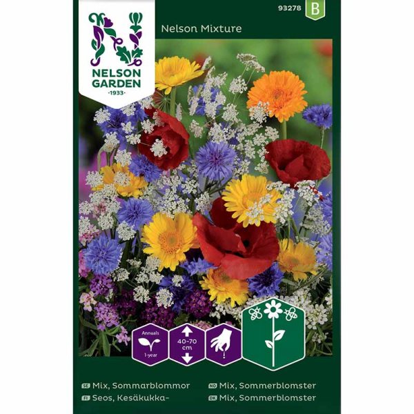 Sommerblumenmischung 'Nelson Mixture'