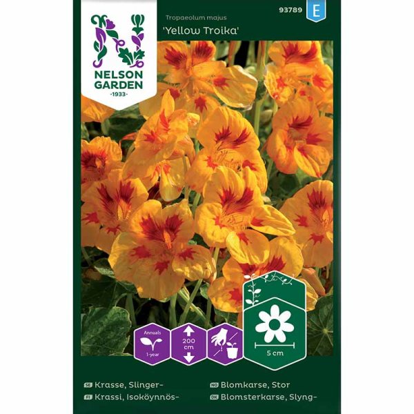 Kletternde Kapuzinerkresse 'Yellow Troika'