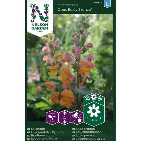 Löwenmaul 'Opus Early Bronze' F1
