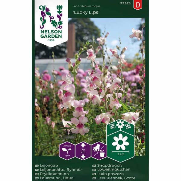 Löwenmaul 'Lucky Lips'