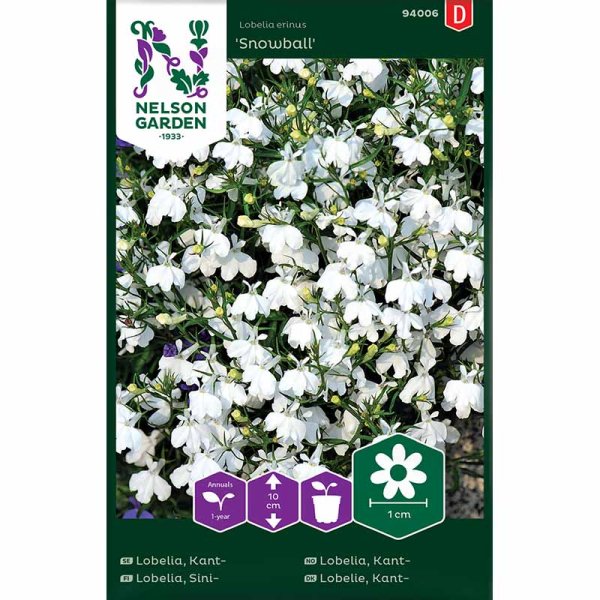 Beet-Lobelie 'Snowball'