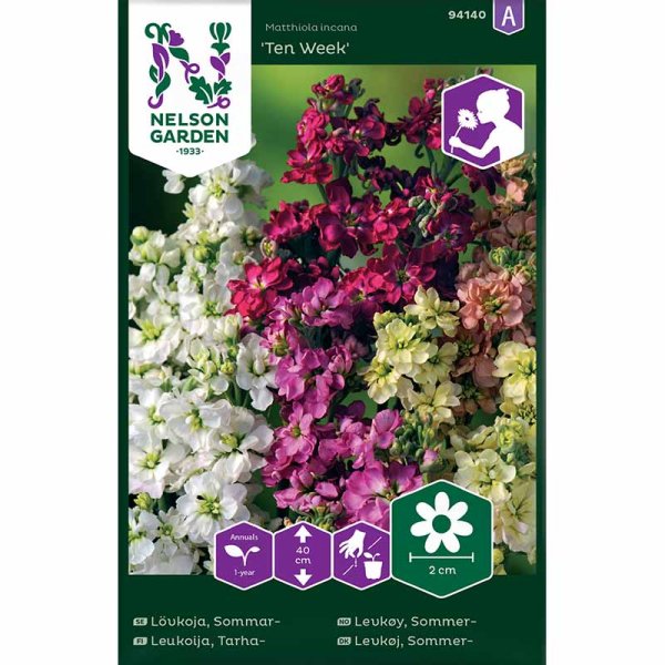 Sommerlevkoje 'Ten Week'