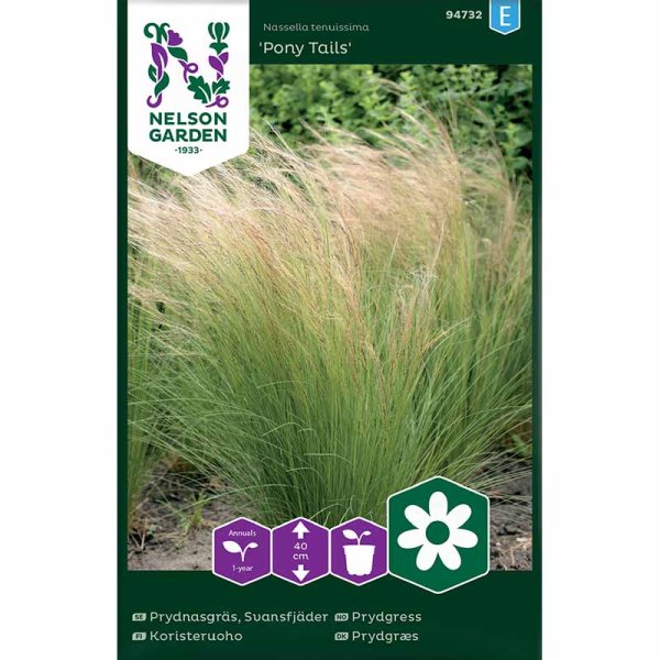 Mexikanisches Federgras 'Pony Tails'
