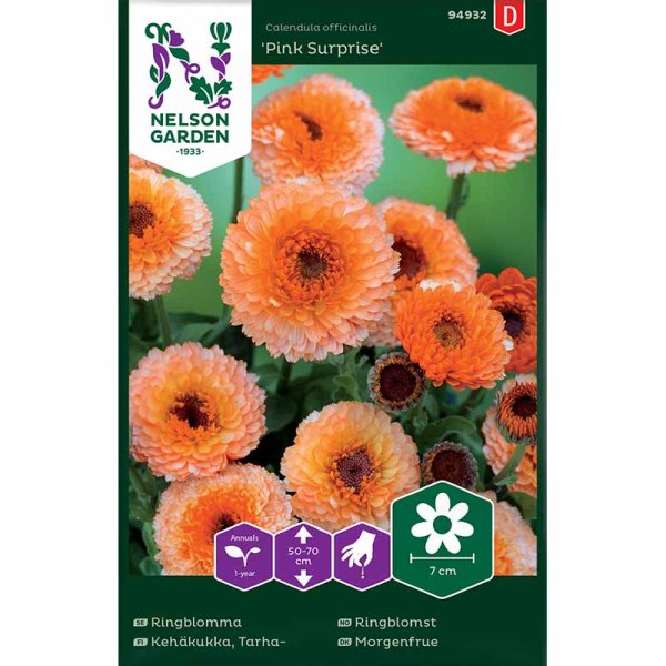 Ringelblume 'Pink Surprise'