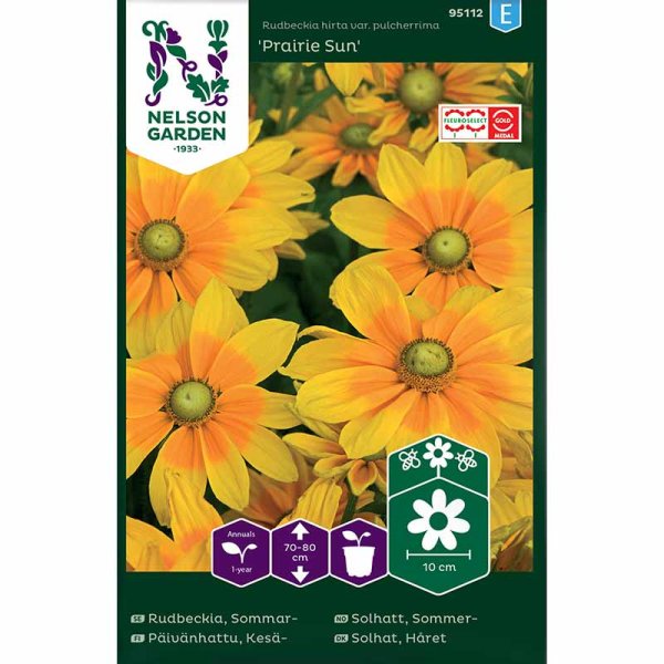 Sonnenhut 'Prairie Sun'