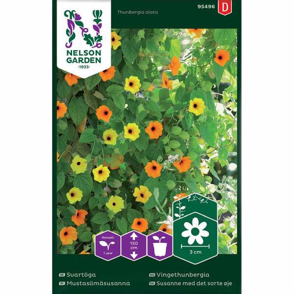 Schwarzäugige Susanne