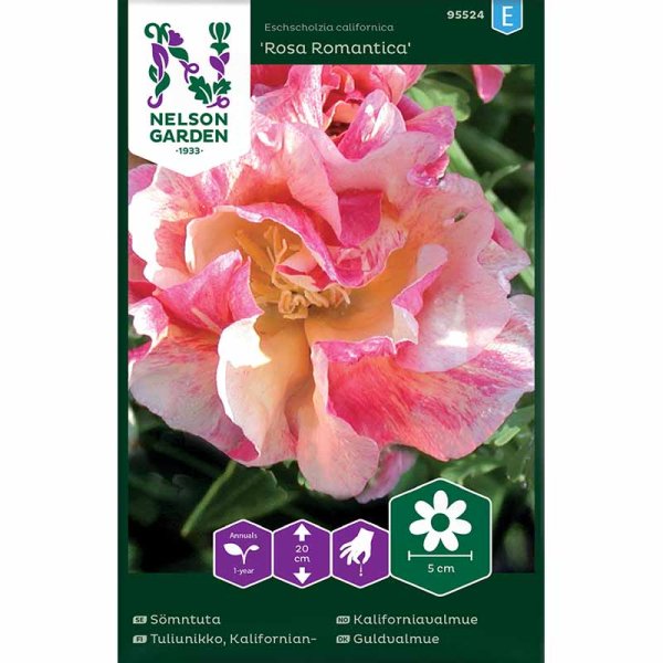 Schlafmützchen 'Rosa Romantica'