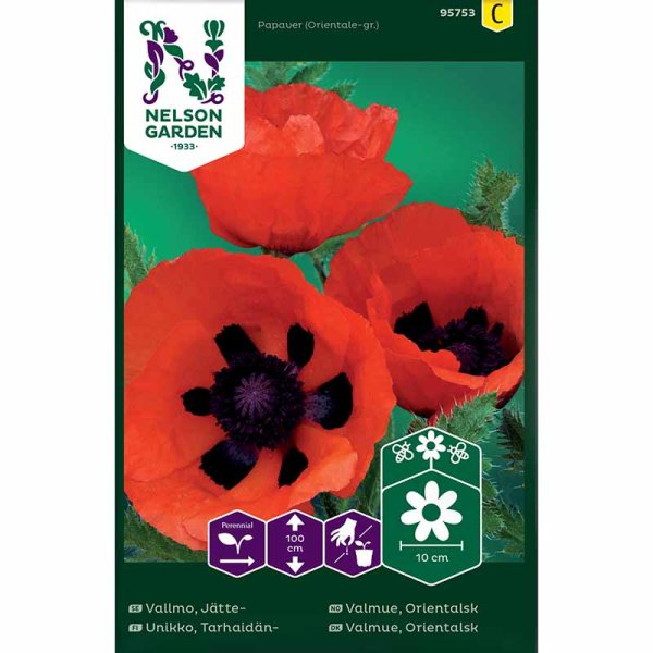 Orientalischer Mohn