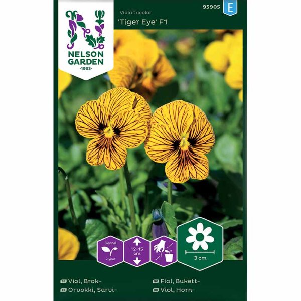 Stiefmütterchen 'Tiger Eye' F1