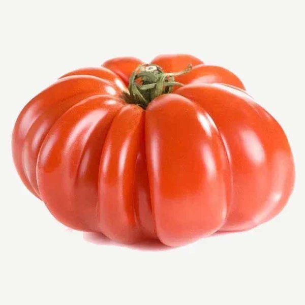 Tomate 'Costoluto Genovese'