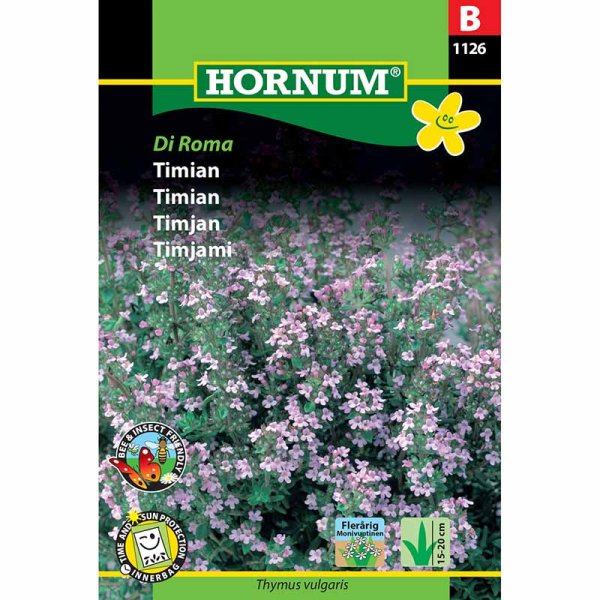 Thymian 'Di Roma'