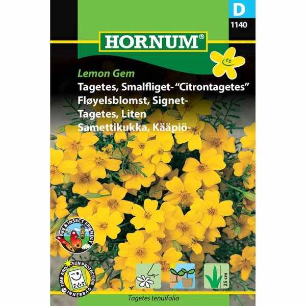 Zwergtagetes 'Lemon Gem'