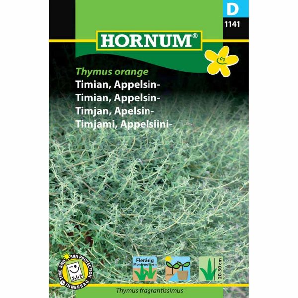 Orangenthymian 'Thymus orange'