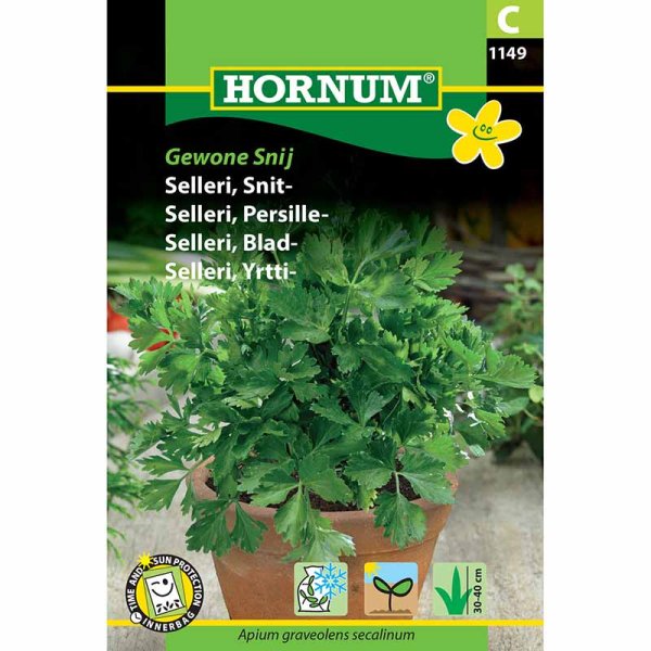 Blattsellerie 'Gewone Snij'