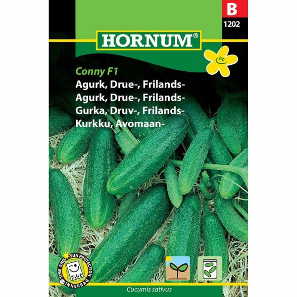 Freilandgurke 'Libelle' F1