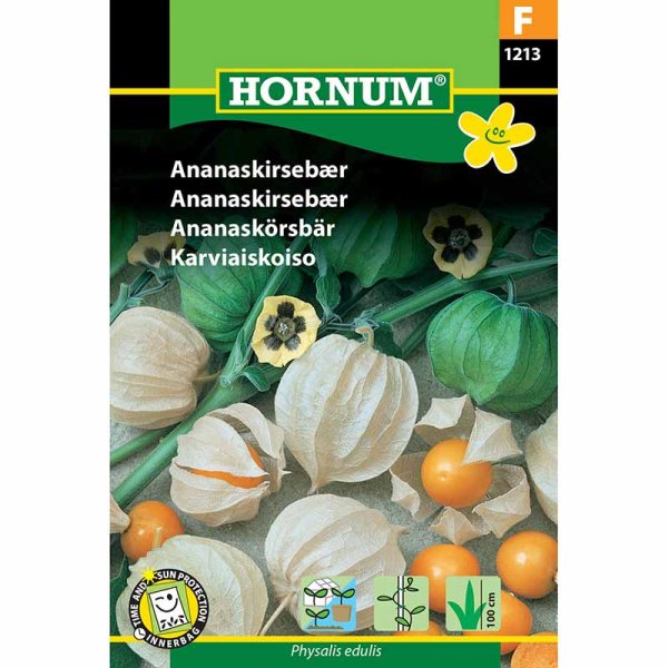 Andenbeere