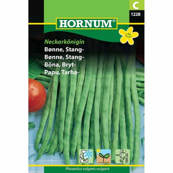 Stangenbohne 'Neckarkönigin'