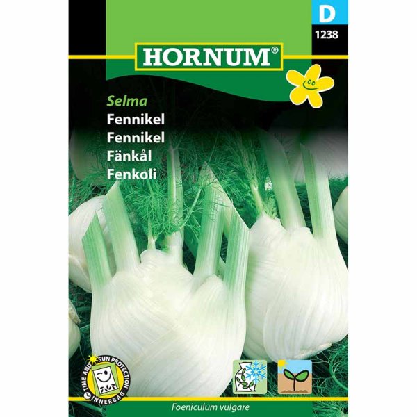 Fenchel 'Selma'