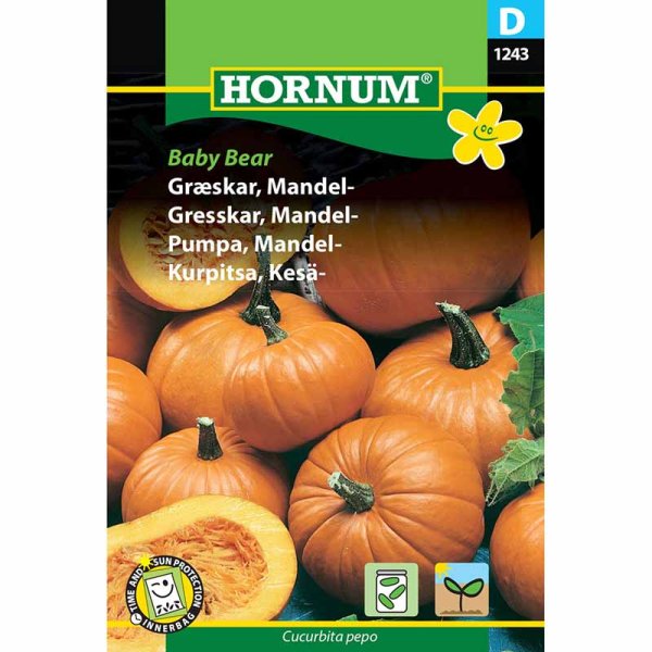 Ölkürbis 'Baby Bear'