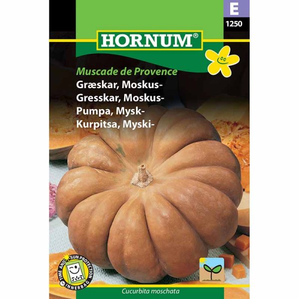 Moschuskürbis 'Muscade de Provence'
